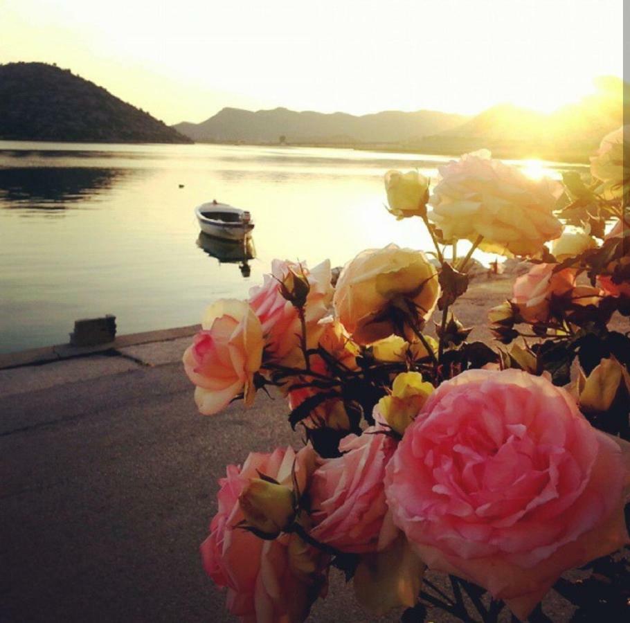 Apartmani Sunset Rogotin 外观 照片